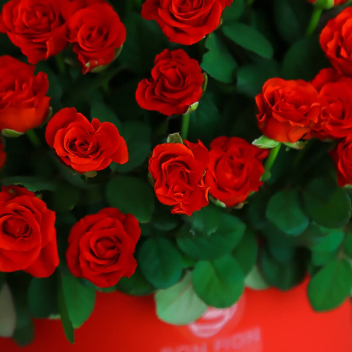 Цветы в коробке "101 красная роза"